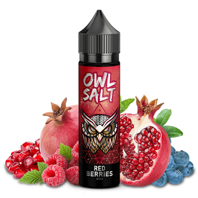 OWL Salt Aroma Longfill - Red Berries - 10ml in 60ml Flasche C OWL Salt Aroma Longfill - Red Berries - 10ml in 60ml Flasche C