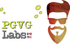 PG-VG-Labs-Logo PG-VG-Labs-Logo