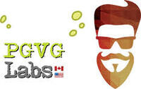 PG VG Labs Logo