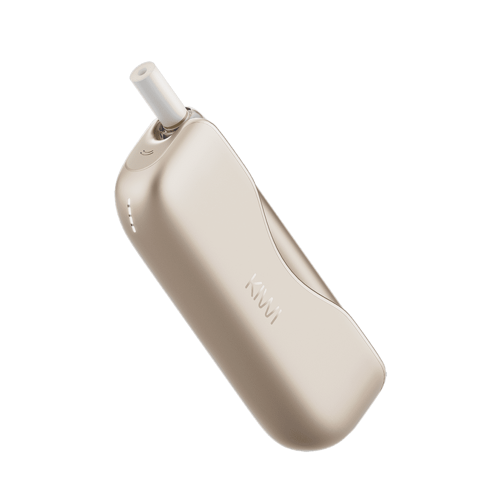 KIWI 2 - Kit Gold Rose