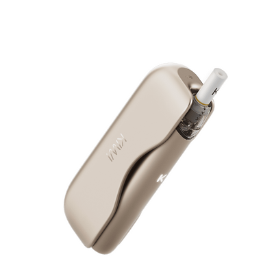 KIWI 2 - Kit Gold Rose