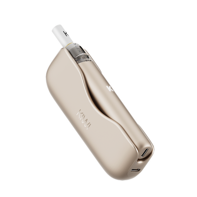 KIWI 2 - Kit Gold Rose