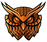 OWL OWL Logo