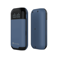Orca Vape Dual Slot Ladegerät